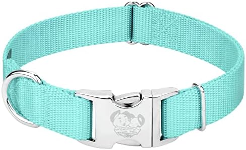 Country Brook Petz - Premium Nylon Dog Collar with Metal Buckle for Small Medium Large Breeds - 30+ Colors (Large, 1 Inch, Light Cyan)