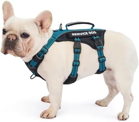 Huntboo Service Dog Vest Harness, Escape Proof Harness with 6 Patches, No-Pull, Reflective Harness with Handle, Adjustable for Small to Large Dogs, for Training and Hiking (Teal, M)