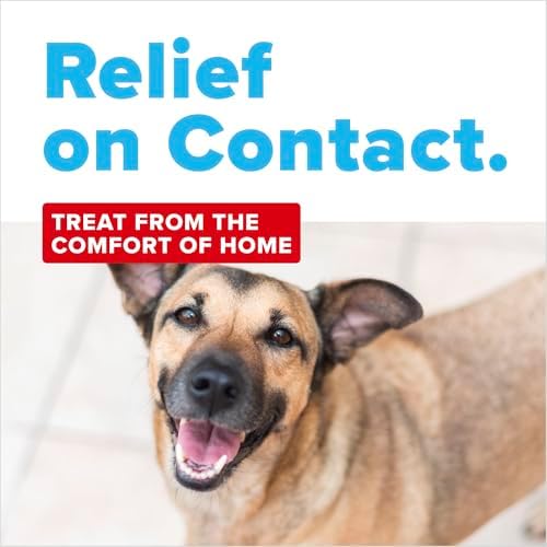 TropiClean OxyMed Dog Eye Wipes, Tear Stain Remover for Dogs, 50ct