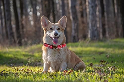 THAIN Reflective Personalized Dog Collar Engraved Custom Buckle- Soft Nylon Pet Collar with Name Plate Engraved Name, Phone Number, Silent,No Noise Adjustable (L, Red)