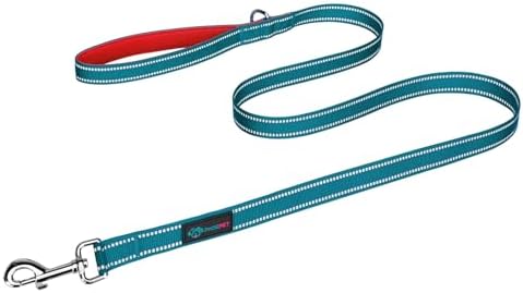 PHOEPET 5 Feet Dog Leash with Comfortable Padded Handle Easy Snap Clasp