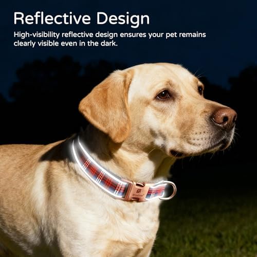 Reflective Plaid Dog Collar for Small Dogs, Red & Blue-S