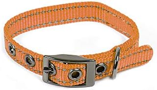 Max and Neo MAX Reflective Metal Buckle Dog Collar - We Donate a Collar to a Dog Rescue for Every Collar Sold (X-Small, Orange)