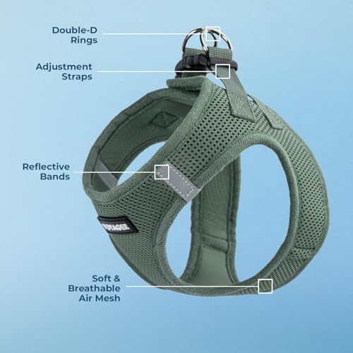 Best Pet Supplies - All Weather Mesh/Plush, Reflective, No Pull Harness for Small, Medium Dogs, Cats - Secure with Hook & Loop Fastener, Buckle, Double D-Rings - Moss Green, S