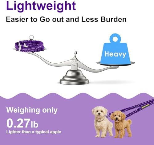 MingXpet 2 Dog Leash, Dog Leash for 2 Dogs, 360° Swivel No Tangle Double Walking Training Leashes for Large Dogs that Pull, Comfortable Shock Absorbing Reflective Bungee, Purple