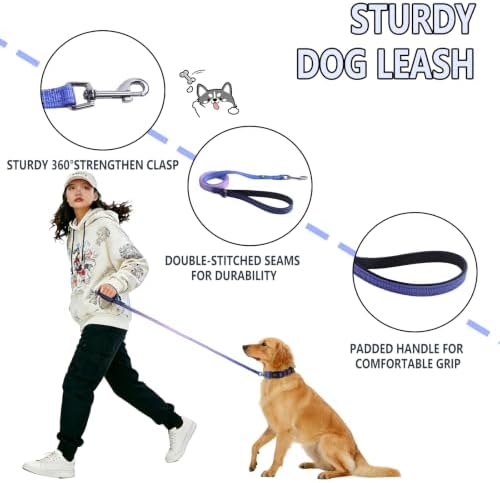 Roses&Poetry Blue Purple Large Dog Collar and Leash Set, Puppy Reflective Leashes with Collars, Adjustable Durable Matching Collar Leash for Large Dogs Girl (BluePurple-L)