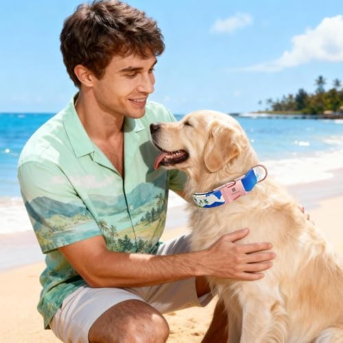 Reflective Dog Collar for Large Dogs, Artistic Design Hawaii-L