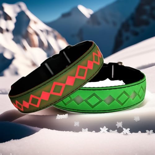 Personalized Flashing Dog Collar with Laser Engraved ID Tag