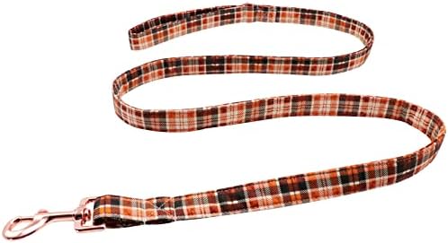 Lionet Paws Dog Leash Matching Dog Collar for Small Medium Large Dog
