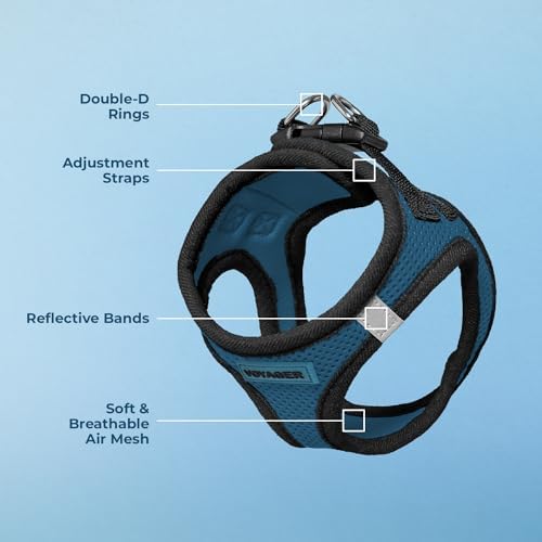 Voyager Step-in Air Dog Vest Harness - Blue/Black Trim, Medium