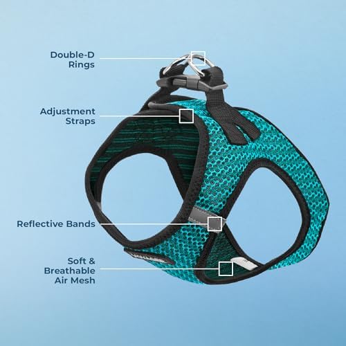 Voyager Step-in Air Dog Vest Harness - Turquoise 2-Tone, X-Large
