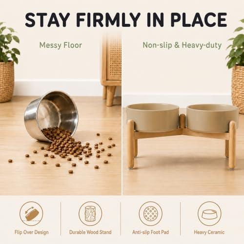 Havniva Ceramic Dog Bowls Elevated, Raised Dog Food Bowl for Small Dogs