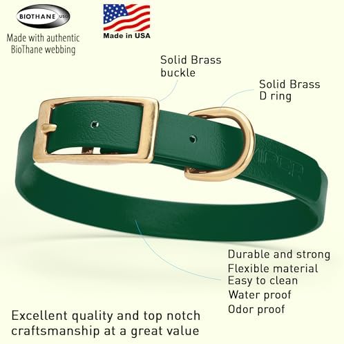 Viper Biothane Heavy Duty Waterproof Dog Collar Strong Coated Nylon Webbing w/Solid Brass Hardware Odor-Proof Easy to Clean High Performance Fits Small Medium or Large Dogs, Hunter Green