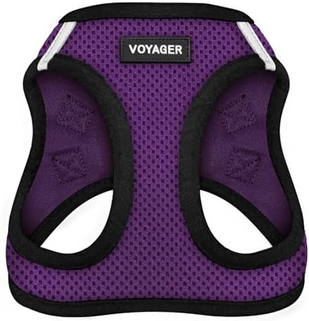 Best Pet Supplies Voyager Step-in Air Harness - All Weather Mesh, Reflective, No Pull Harness for Dogs, Cats - Secure with Hook & Loop Fastener, Buckle, Double D-Rings - Purple/Black Trim, S