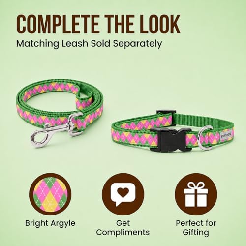 THE WORTHY DOG Summer Print, Adjustable Dog Collar, Small Dogs, Argyle