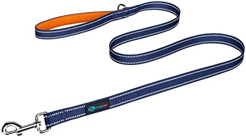 PHOEPET 5 Feet Dog Leash - Dual-Side Reflective - Soft Padded Handle