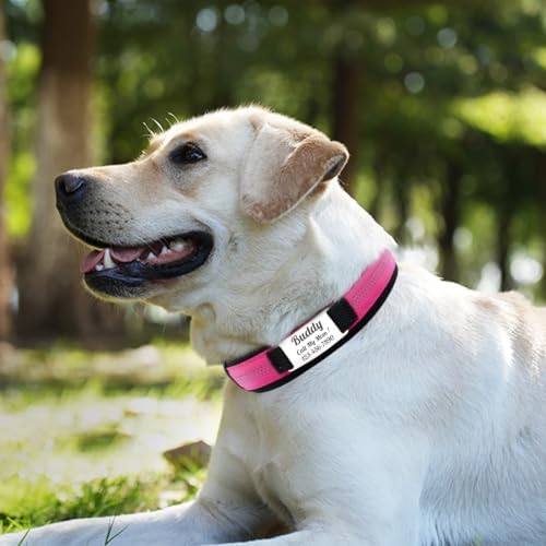 Personalized Nylon Dog Collar with Name Tag (Turquoise, L)