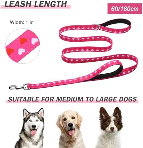 Hikiko 6FT Dog Leash Padded Double Handle with Designed Pattern