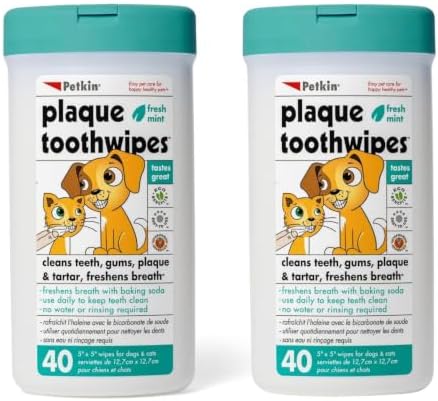 Petkin Cat and Dog Dental Wipes, 80 Wipes (Fresh Mint) - Natural Formula Cleans Teeth, Gums & Freshens Breath - for Daily Use - Convenient Dog Dental Care - 2 Packs of 40 Wipes (80 Wipes Total)
