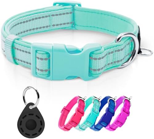 azuza Airtag Dog Collar, Large Dog Collar with Airtag Holder, Teal, L