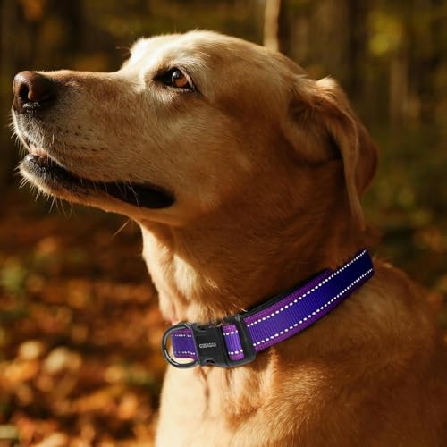 Kazazoo Medium Dog Collar, Reflective Nylon Collar,No Pull,Soft Neoprene Breathable & Quick Release Buckle Dog Collars for Bulldog,Husky,Border Collie Purple-M
