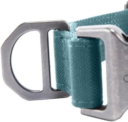 Carhartt Field Nylon Dog Collar Harbor Teal Medium