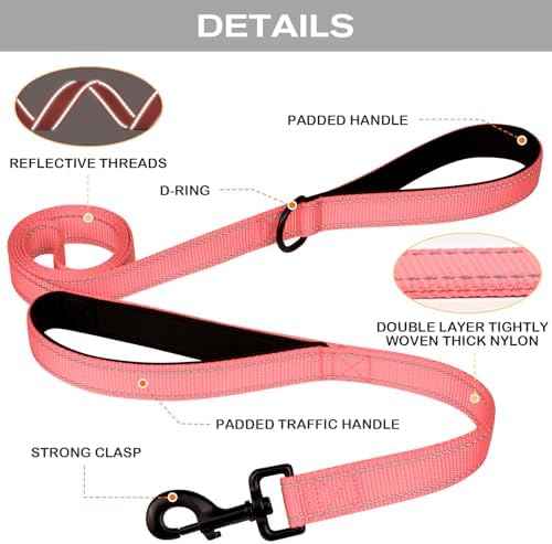 Joytale Dog Leash for Large Dogs that Pull, Double Handle, 6FT, Neon Pink