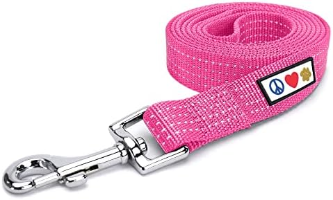 Pawtitas Pink Dog Leash 6 ft XS/S Reflective Durable Lightweight Dog Lead for Small Dogs and Puppies