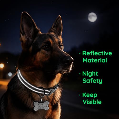 Personalized Dog Collar and Dog Tag Set,Comfortable for Medium Large Dogs