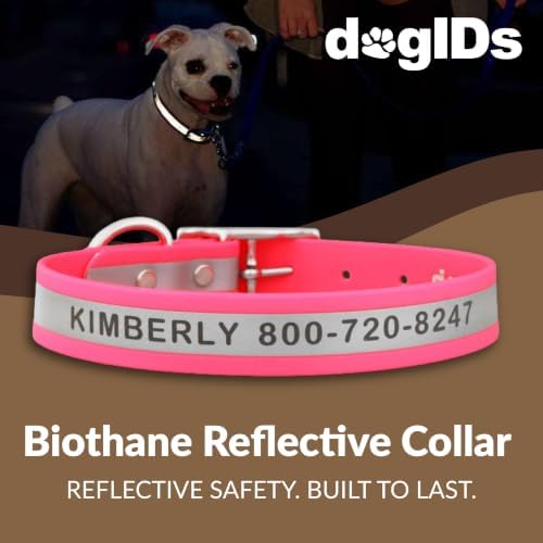 dogIDs Personalized Reflective Waterproof Dog Collar - Custom, Durable, Adjustable, Odor Resistant, Safe, Engraved - Pink, 1 in x 16 in (Fits Neck Sizes: 14-18 in)