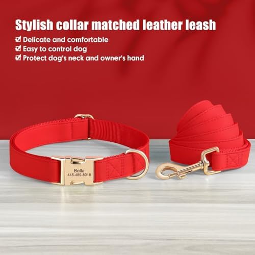 PET ARTIST Personalized Dog Collars, Custom Engraved Red Dog Collar with Silent Name Tag, Gold Quick Released Buckle & Soft Nylon Padded, Elegant Colors & Matching Leash for Small Dogs,S Fit 9-14"