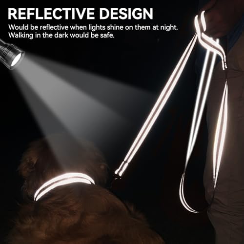Joytale Reflective Dog Leash for Small Dogs, 5 FT x 3/4", Brown