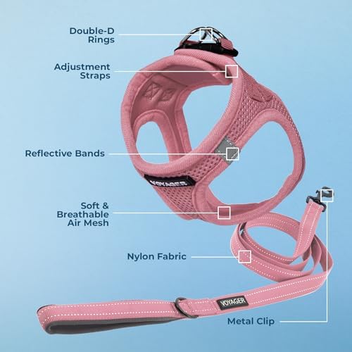 Best Pet Supplies Voyager Step-in Air All Weather Mesh Harness and Reflective Dog 5ft Leash Combo with Neoprene Handle, for Small, Medium and Large Breed Puppies - Pink, XX-Small