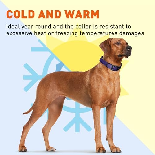 Dogline Biothane Waterproof Dog Collar Strong Coated Nylon Webbing with Black Hardware Odor- Proof for Easy Care Easy to Clean High Performance Fits Small Medium or Large Dogs, Violet Purple