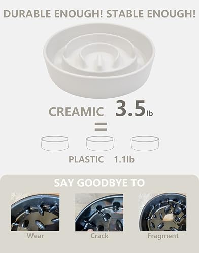 Ceramic Slow Feeder Bowls for Large Dogs, 3.0 Cups Slow Feeder for Fast Eaters, 48oz, 10in, White