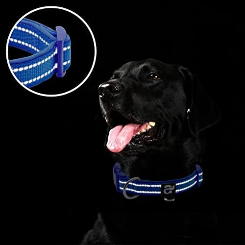 azuza Reflective Dog Collar, Neoprene Padded Small Dog Collar, Royal Blue S