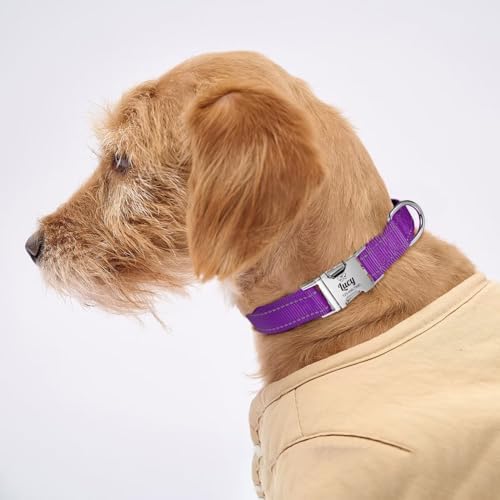 Silent Dog Collar Personalized with Name Phone Number Laser Engraved