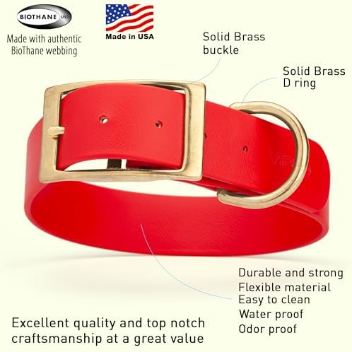 Viper Biothane Heavy Duty Waterproof Dog Collar Strong Coated Nylon Webbing w/Solid Brass Hardware Odor-Proof Easy to Clean High Performance Fits Small Medium or Large Dogs, Cherry Red