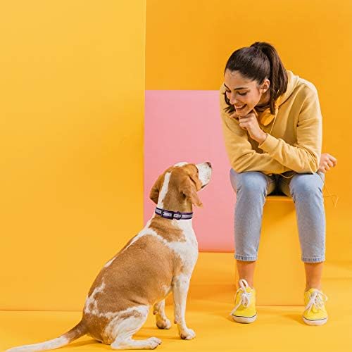 Dogline Biothane Translucent Reflective Waterproof Dog Collar Strong Coated Nylon Webbing with Black Hardware Odor- Proof for Easy Care Clean Fits Small Medium or Large Dogs - Purple 1" W x 18"-22" L