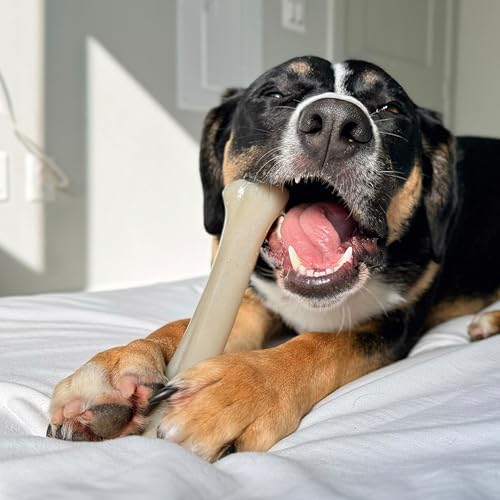 Nylabone Strong Chew Gourmet Style Knuckle Bone Dog Chew Toy, X-Large