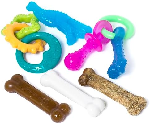 Nylabone Puppy Chew Toy & Treat Bundle, Small, 6 Count