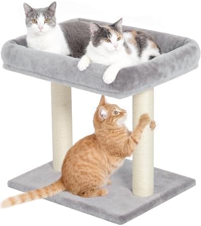 19" Small Cat Tree with Scratching Post for Indoor Cats with Perch