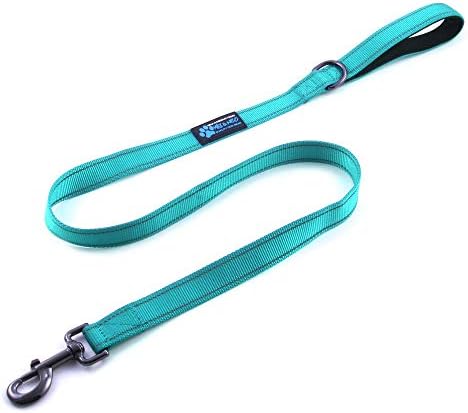 Max and Neo Small Dog Leash - Reflective Nylon, Donates to Dog Rescue (Teal, 4x5/8)