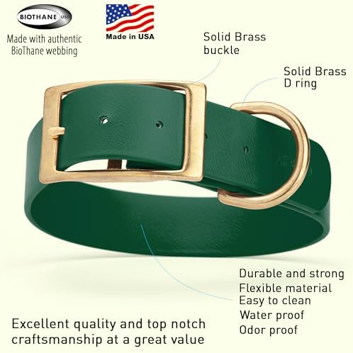 Viper Biothane Heavy Duty Waterproof Dog Collar Strong Coated Nylon Webbing w/Solid Brass Hardware Odor-Proof Easy to Clean High Performance Fits Small Medium or Large Dogs, Hunter Green