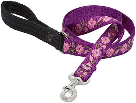 LupinePet Originals 1" Rose Garden 4-Foot Padded Handle Leash for Medium and Larger Dogs