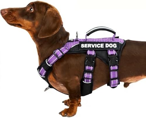 Huntboo Service Dog Vest Harness, Escape Proof Harness with 6 Patches, No-Pull, Reflective Harness with Handle, Adjustable for Small to Large Dogs, for Training and Hiking (Lavender Purple, S)