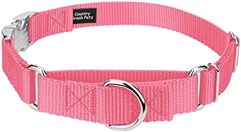 Country Brook Petz - Martingale Dog Collar - Heavy Duty Nylon Adjustable Martingale Dog Collar with Metal Buckle for Small Medium Large Breeds 30+ Color Options (1 Inch, Medium, Pink)