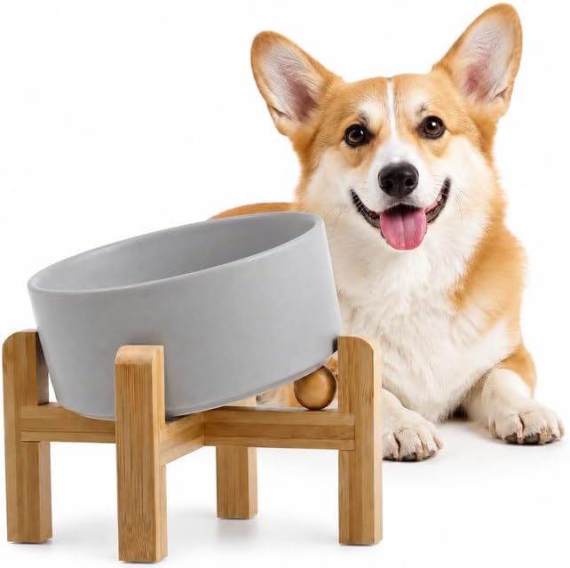 hjn Elevated Ceramic Dog Bowl 15°Slanted Raised Dog Bowl with Bamboo Stand for Small Medium Dogs and Cats, Pet Feeder-3.6-Cup (850ml)-Gray