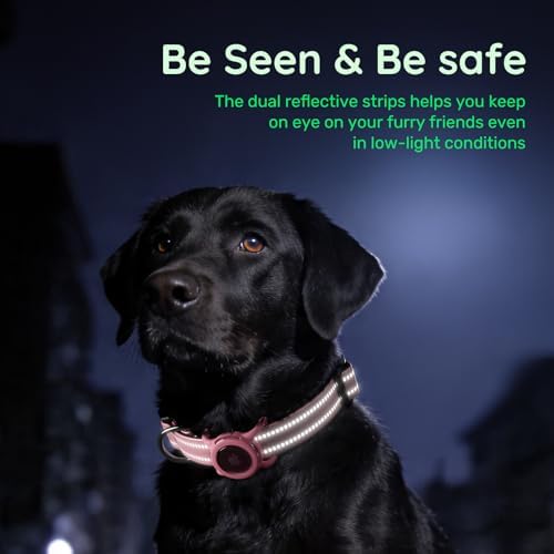 Airtag Dog Collar for Small Dogs, Reflective Dog Collar with Airtag Holder