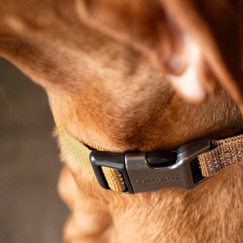 Carhartt Fully Adjustable Nylon Webbing Collars for Dogs, Reflective Stitching for Visibility, Hunter Orange (Nylon Webbing), Medium